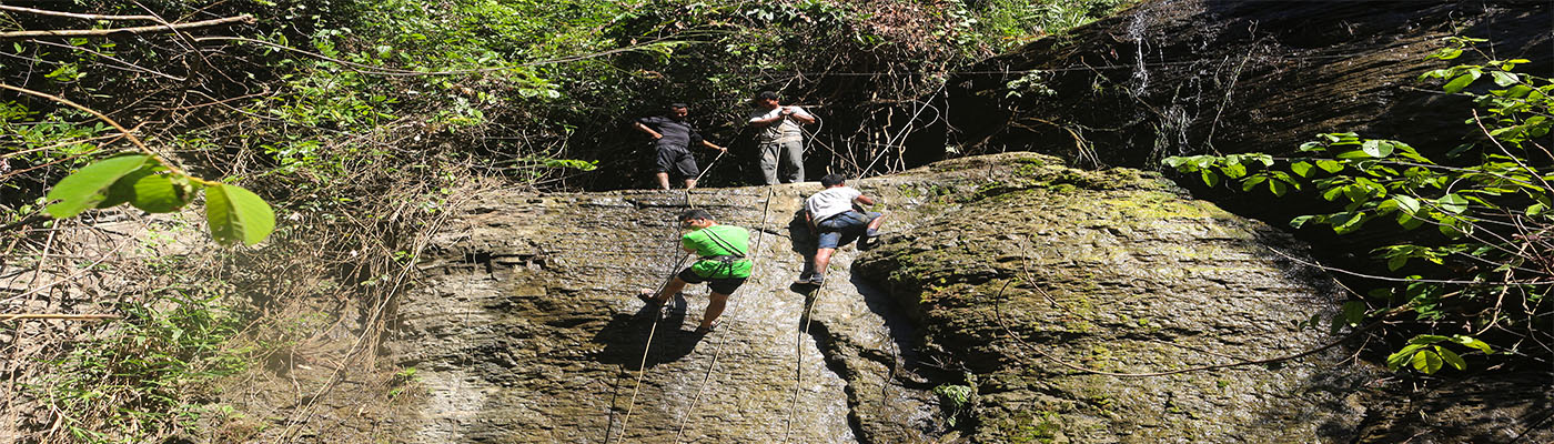 Vertical Dreamers Home Page Banner (7)