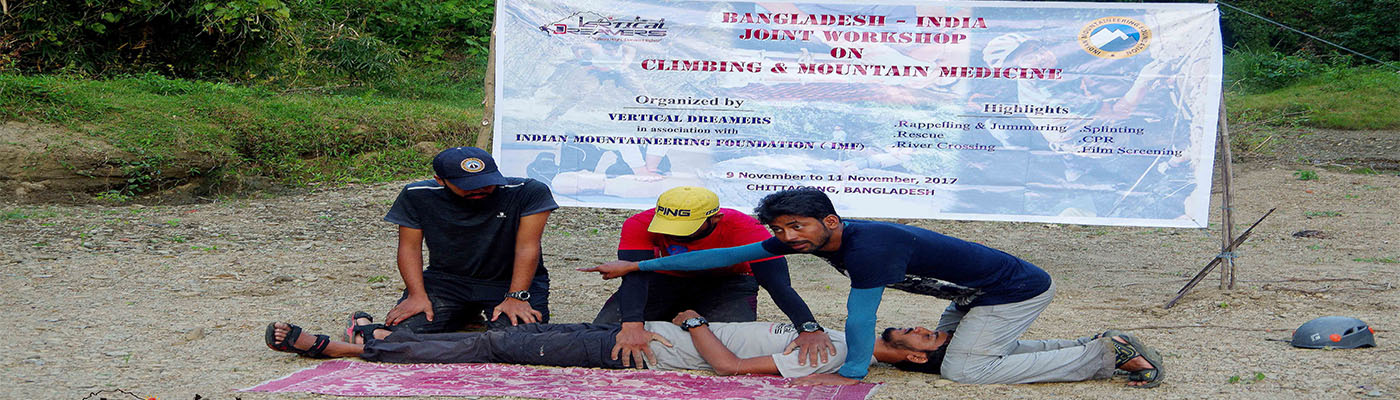 Vertical Dreamers Home Page Banner (6)